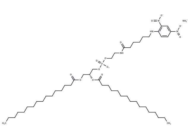 16:0 DNP Cap PE monoammonium