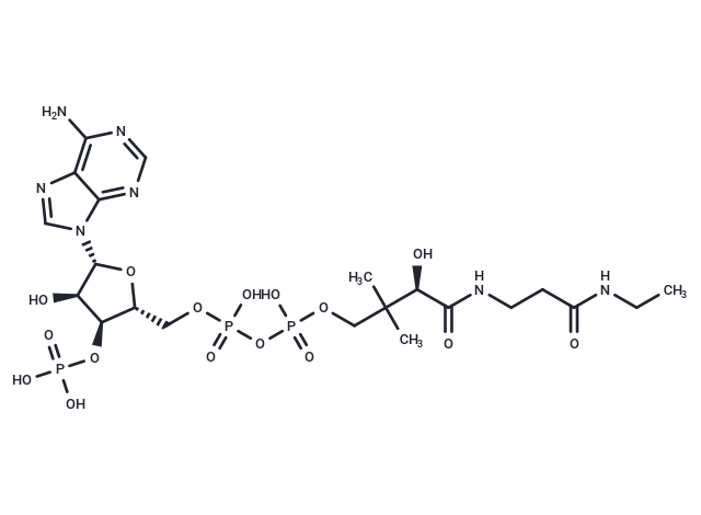 Dethiaacetyl-CoA