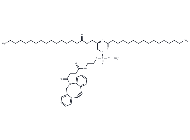 16:0 DBCO PE ammonium