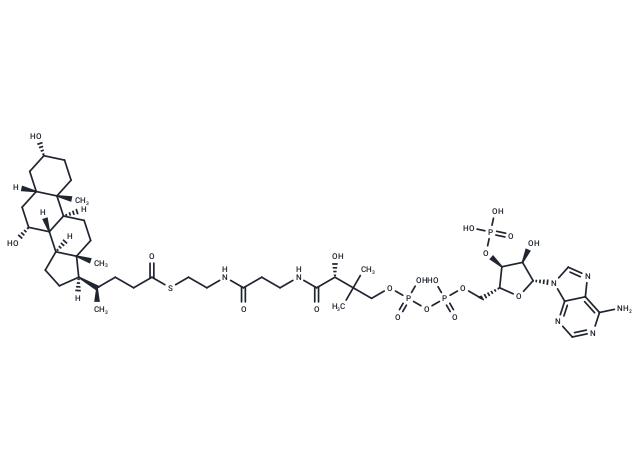 Chenodeoxycholyl-CoA