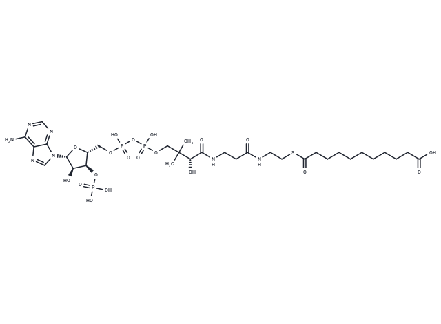 Undecanedioyl-CoA