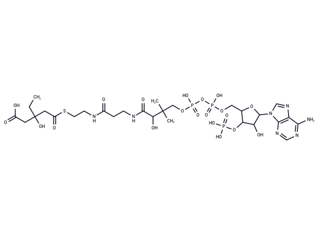 S-(Hydrogen3-ethyl-3-hydroxypentanedioate)-CoA