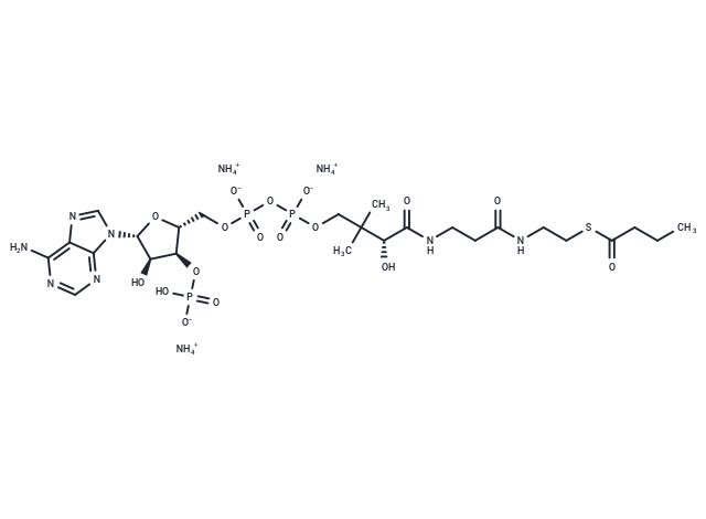 Butyryl-Coenzyme A triammonium