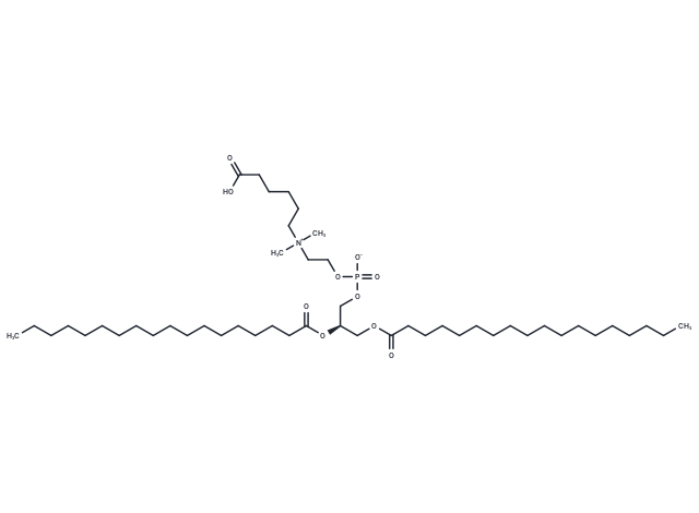 18:0 Carboxypentyl PC