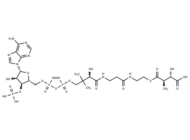 L-Erythro-3-methylmalyl-CoA