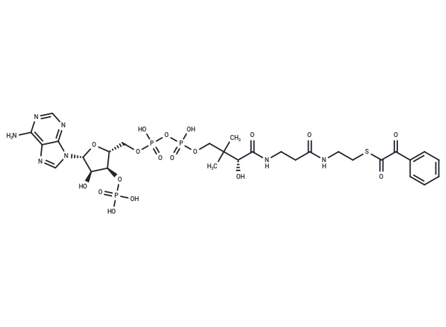 Phenylglyoxylyl-CoA