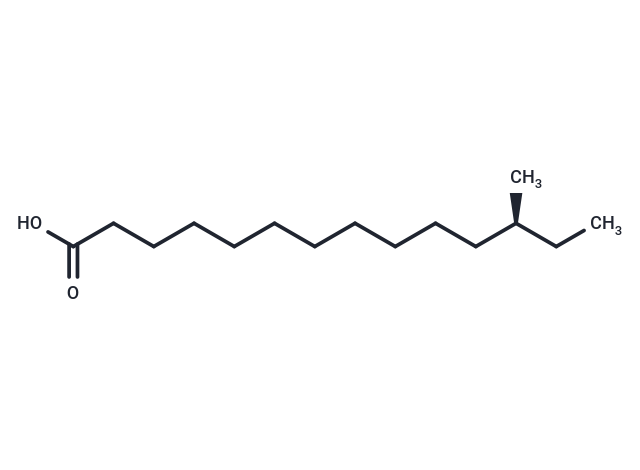 Anteiso 15:0 fatty acid