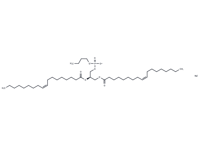 18:1 Phosphatidylbutanol sodium