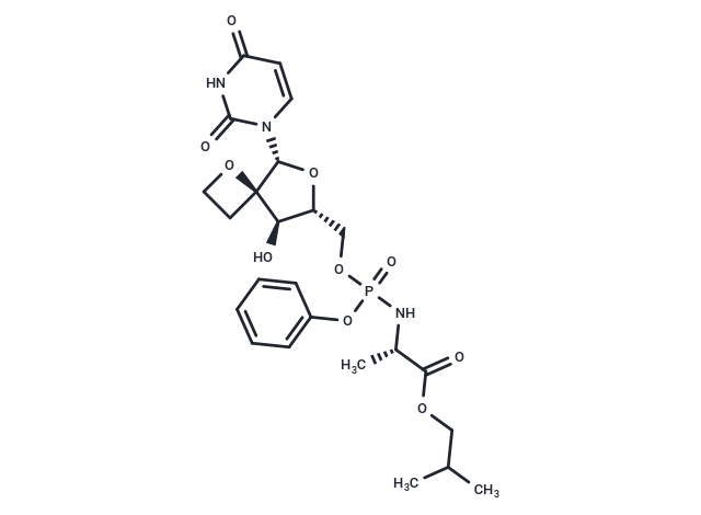HCV NS5B polymerase-IN-3