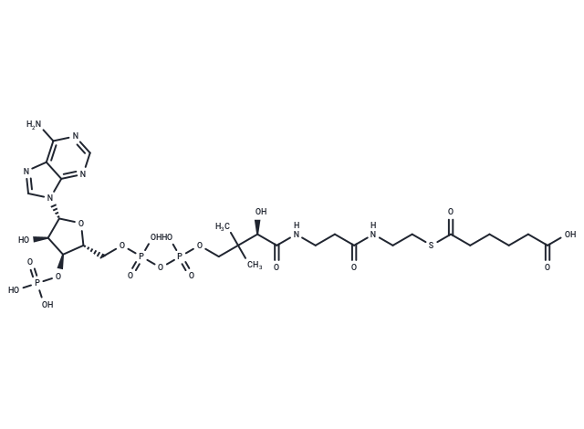 Adipoyl-CoA