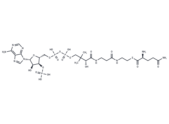 L-Glutamine-CoA