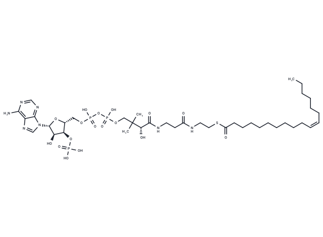 cis-Vaccenoyl-CoA