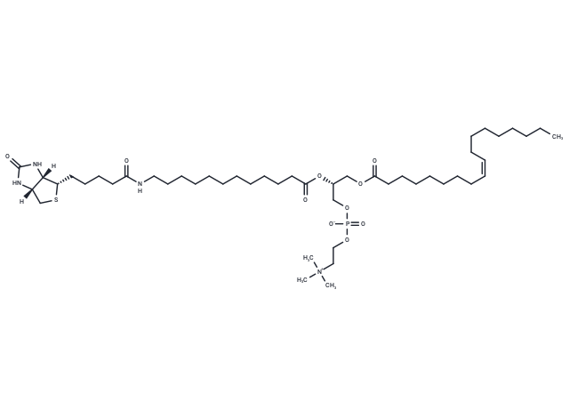 18:1-12:0 Biotin PC