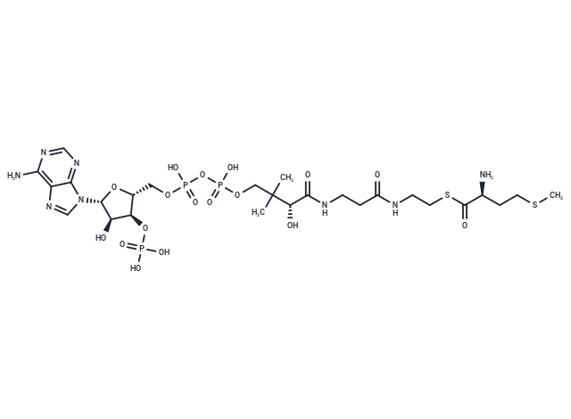 L-Methionine-CoA