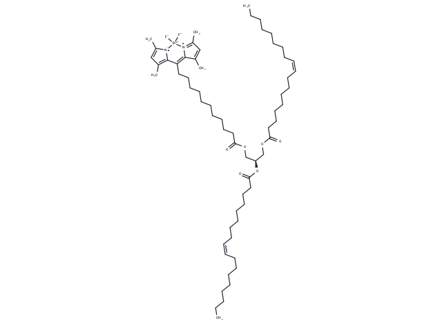 18:1-18:1-C11 BODIPY 505/515 TG