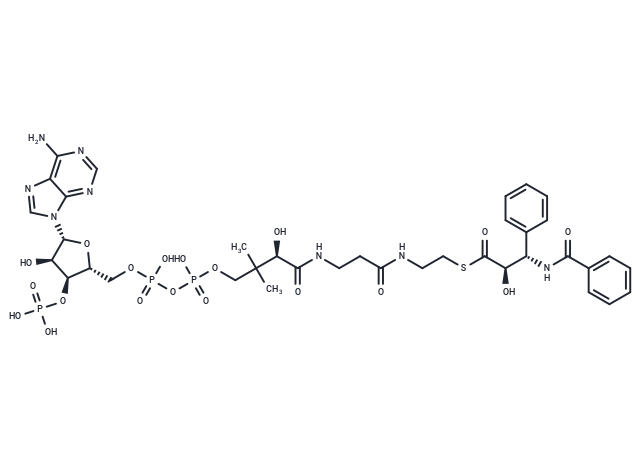 N-Benzoyl-(2R,3S)-3-phenylisoseryl-CoA