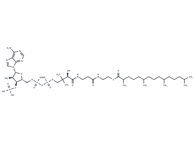 Pristanoyl-CoA