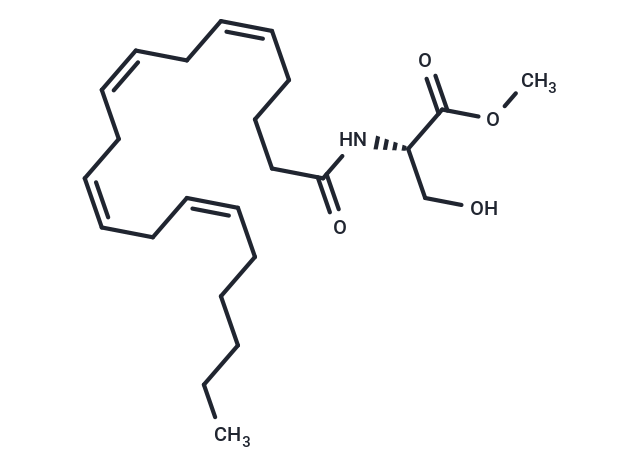 N-20:4 L-Serine MeEster