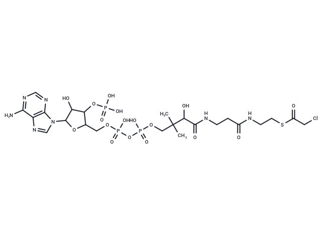 S-(Chloroacetate)-CoA