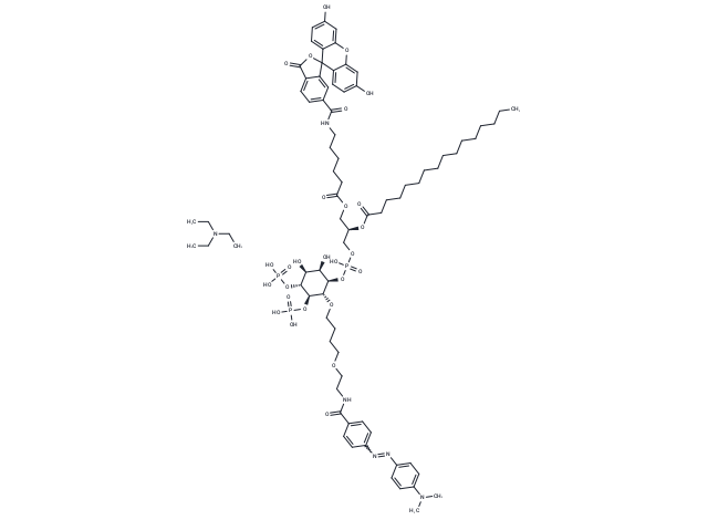 XY-69 triethylamine