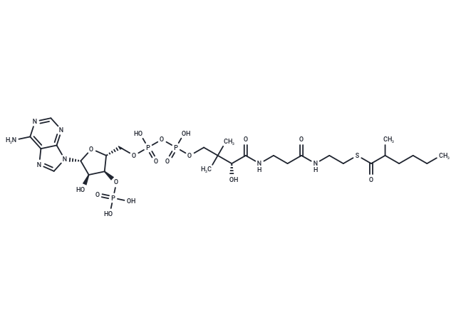 alpha-Methylcaproyl-CoA