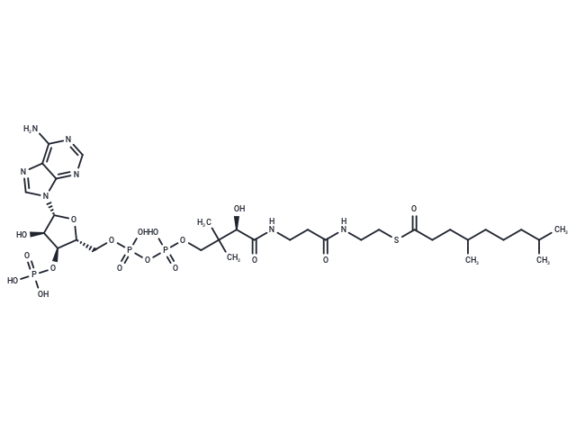 4,8-Dimethylnonanoyl-CoA
