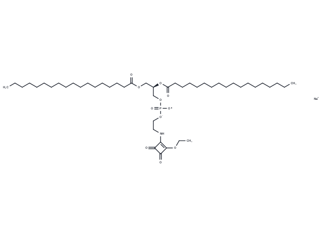 18:0 PE-Square sodium