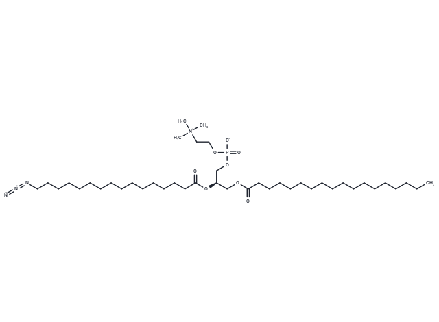 18:0-16:0(16-Azido) PC