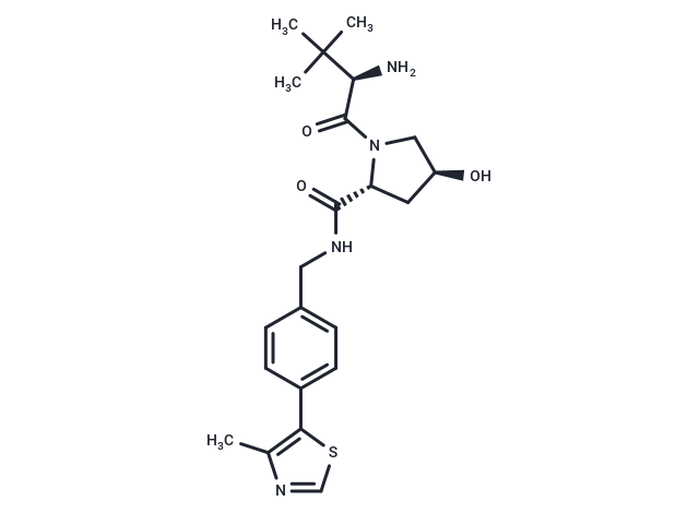 E3 ligase Ligand 58