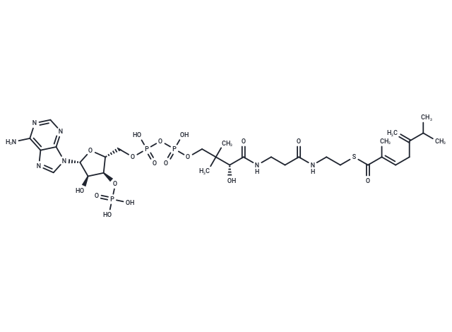 trans-2-Methyl-5-isopropylhexa-2,5-dienoyl-CoA
