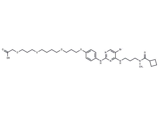 TBK1 ligand 2-C-O-C4-O-C3-O-C-amide