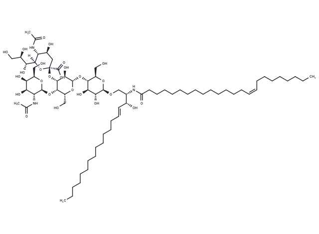 C24:1 Ganglioside GM2 (d18:1/24:1)