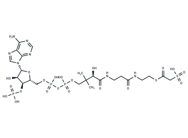 Sulfoacetyl-CoA