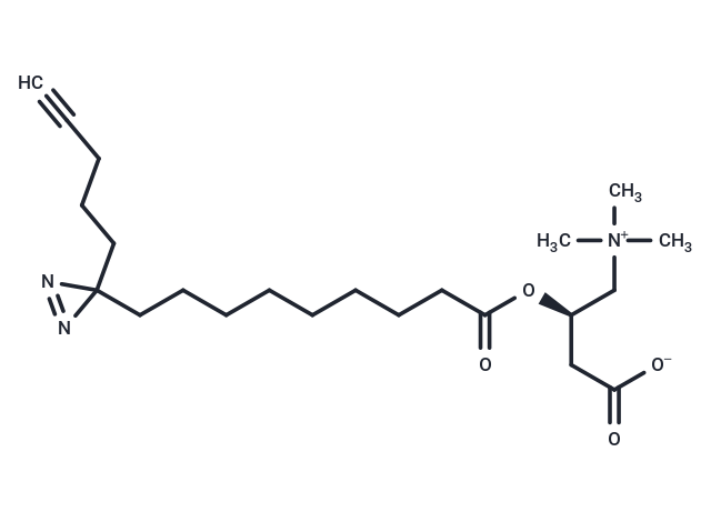 PacFA L-carnitine