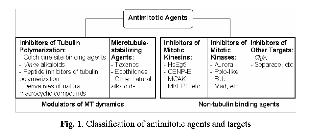  Antimitotic Tubulin Library