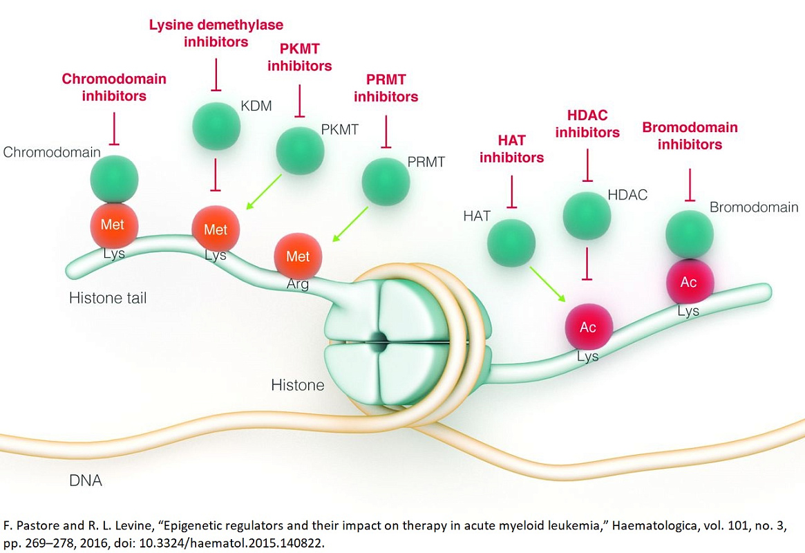  Focused Epigenetics Set