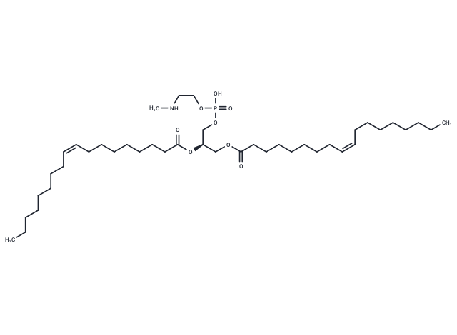 18:1 Monomethyl PE