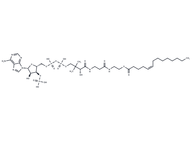cis-Tetradec-5-enoyl-CoA