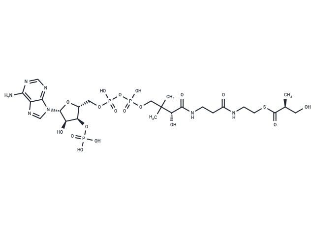 S-[(2S)-3-Hydroxy-2-methylpropanoate]-CoA