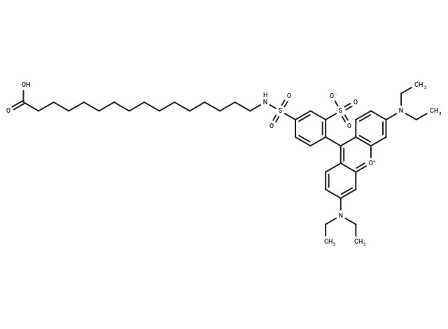 Palmitic acid - lissamine rhodamine