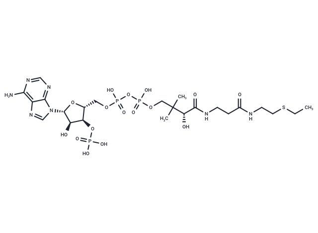 S-Ethyl-CoA