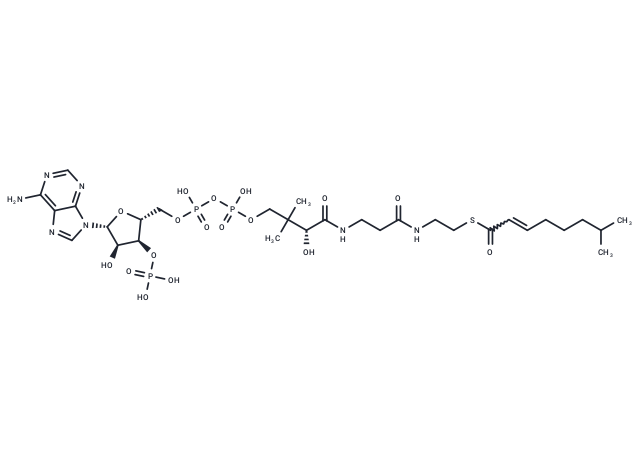 trans-7-Methyloct-2-enoyl-CoA