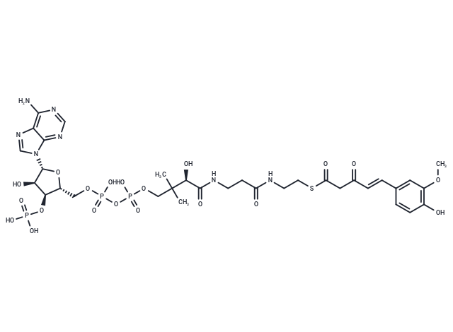 Feruloylacetyl-CoA