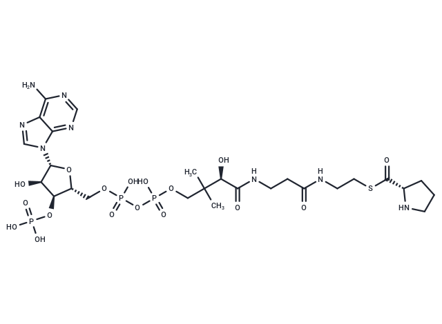 L-Proline-CoA