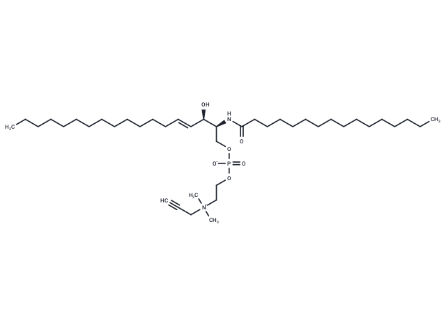 16:0 Propargyl SM (d18:1-16:0)