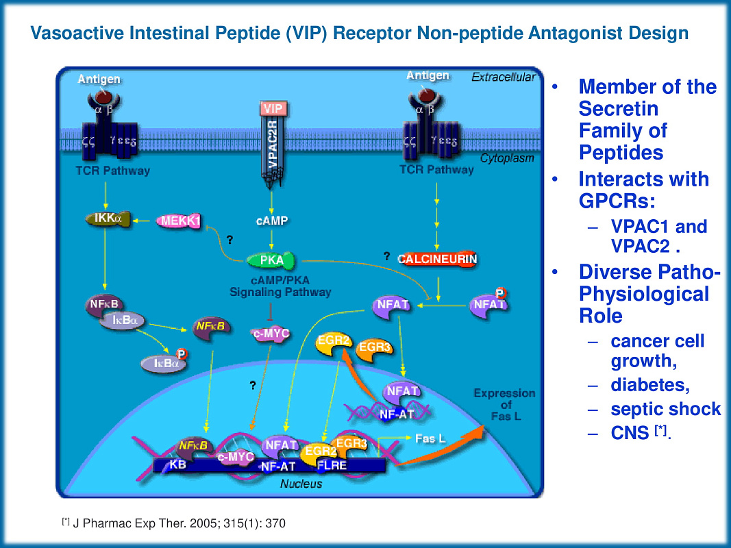  PPI Tripeptide Mimetics Library
