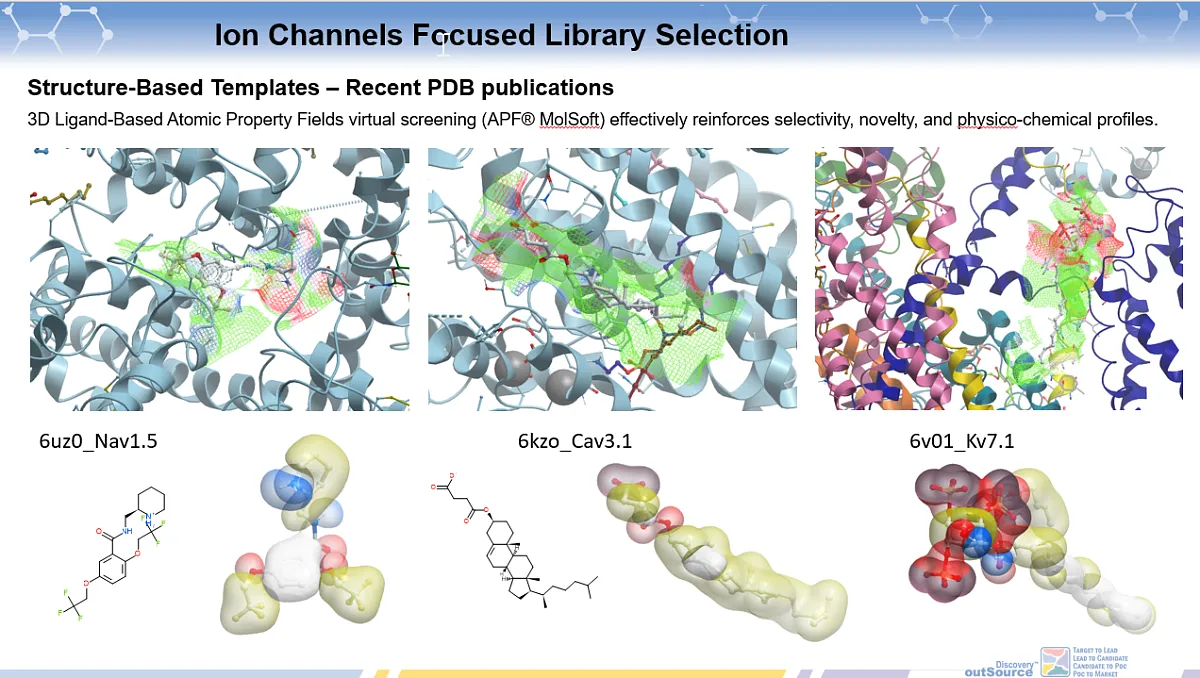  Ion Channels Focused Library