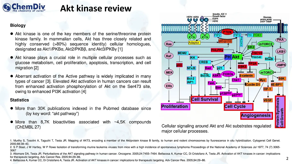 Akt-Targeted Library