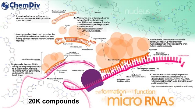  miRNA targeted small molecule library