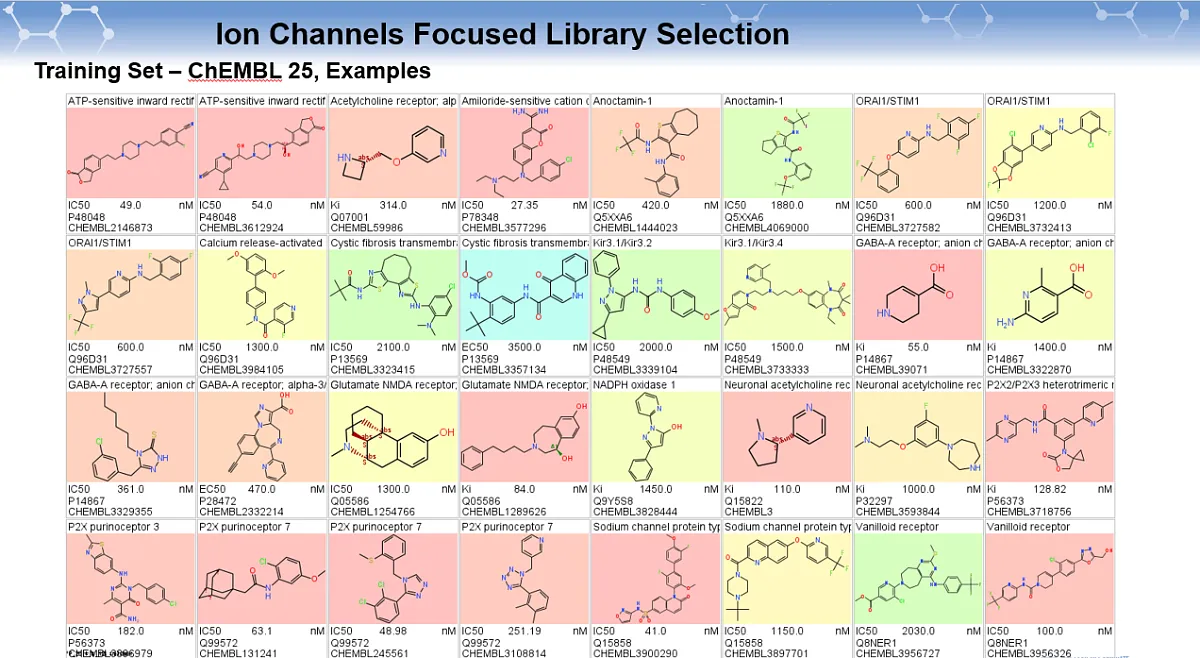  Ion Channels Focused Library